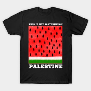 This is Not Watermelon T-Shirt